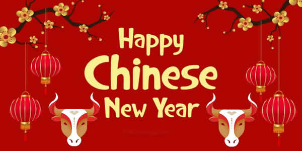 año nuevo chino buey
